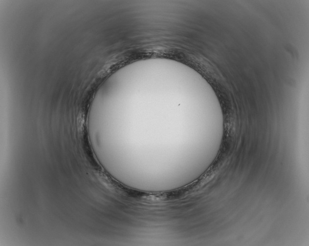 X0000113850660200909241006