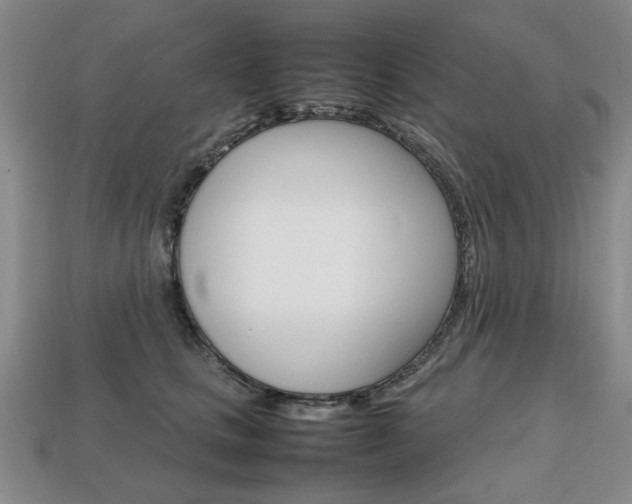 X0000113850661200909241006