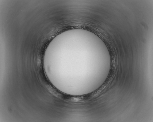 X0000113850662200909241006