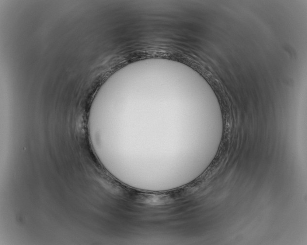 X0000113850663200909241006