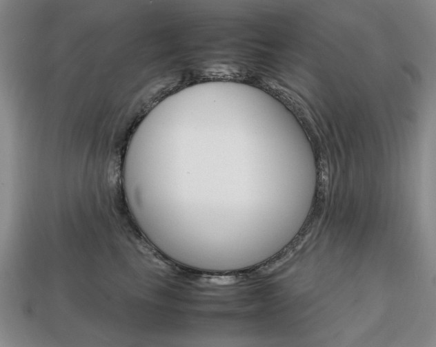 X0000113850665200909241006