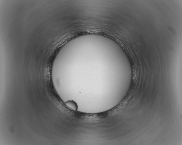 X0000113850666200909241006