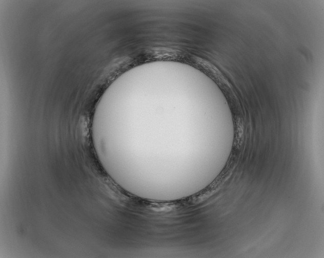 X0000113850667200909241006