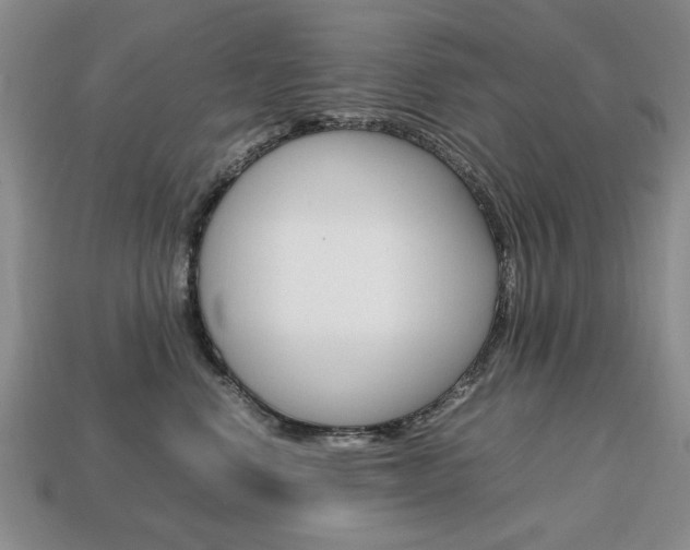 X0000113850668200909241006