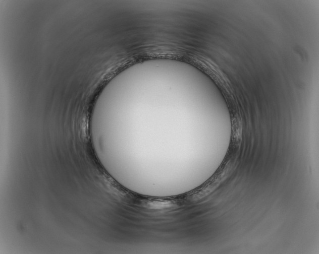 X0000113850669200909241006