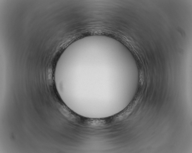 X0000113850670200909241006