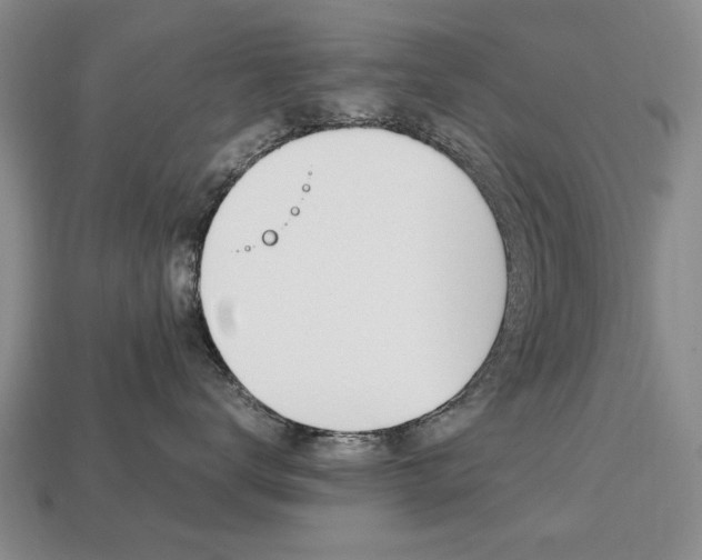 X0000113850672200909241006