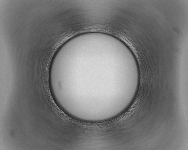 X0000113850673200909241006