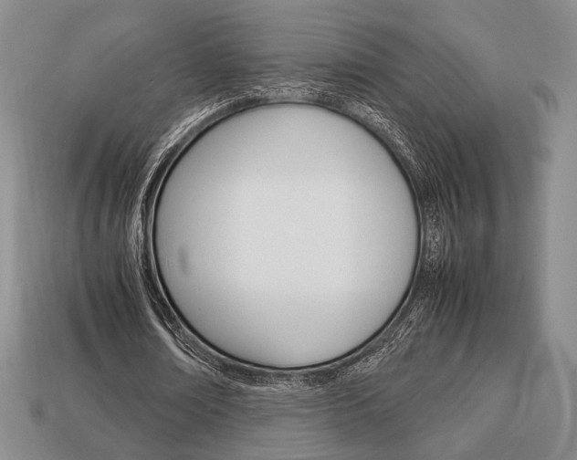 X0000113850674200909241006