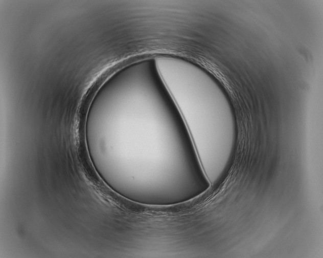 X0000113850676200909241006