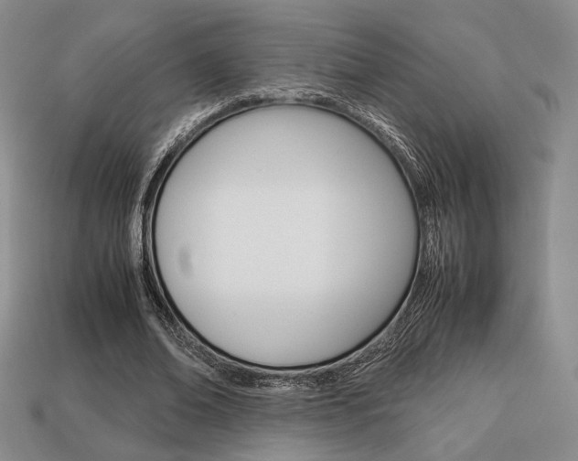 X0000113850678200909241005