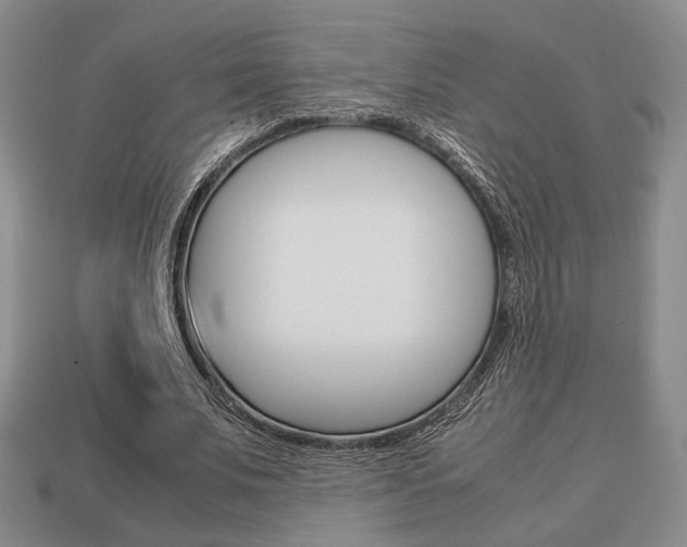 X0000113850679200909241005