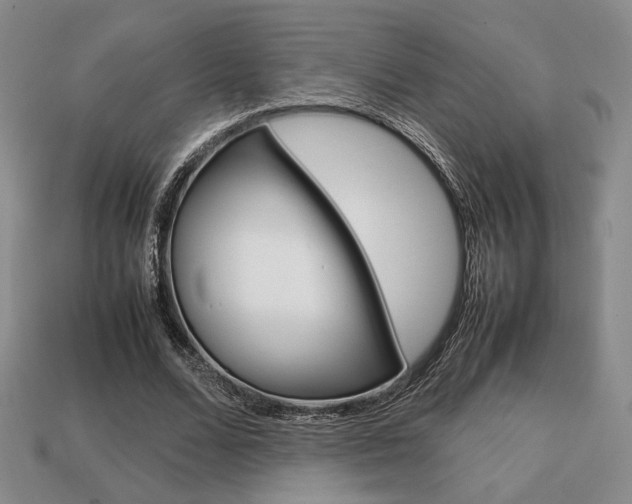 X0000113850680200909241005