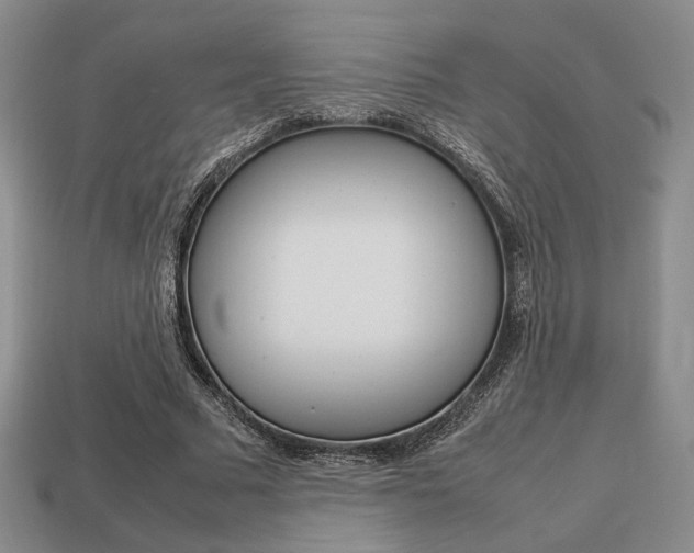 X0000113850681200909241005
