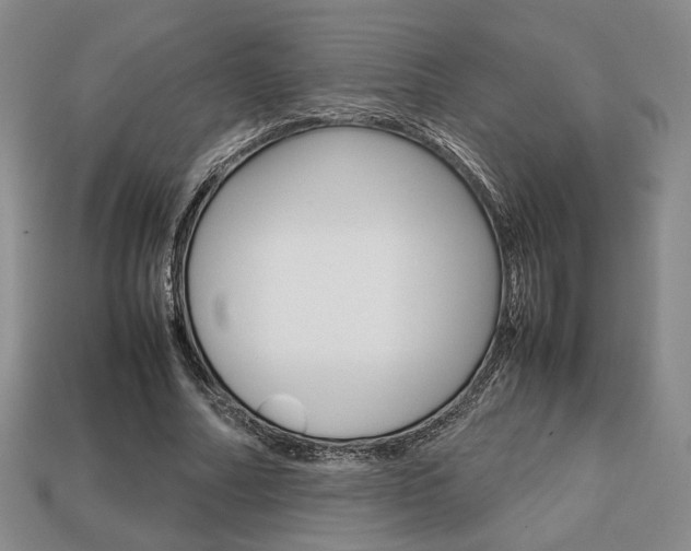 X0000113850682200909241005