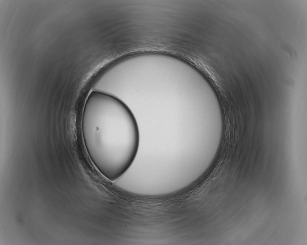 X0000113850684200909241005