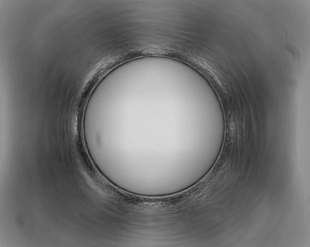 X0000113850686200909241005