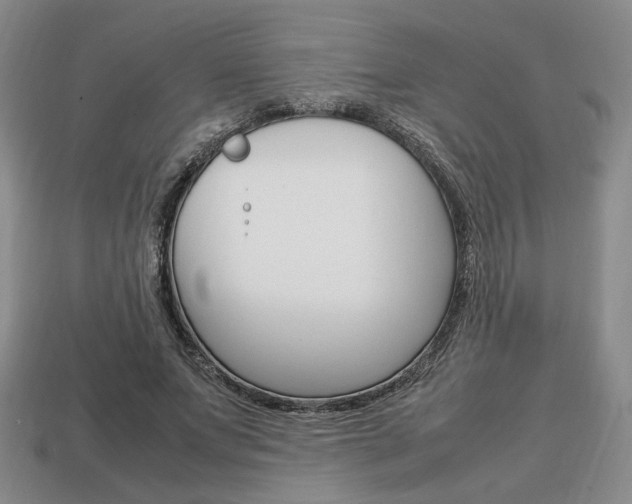 X0000113850687200909241005