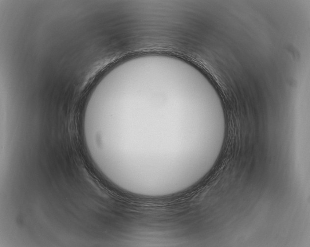 X0000113850688200909241005