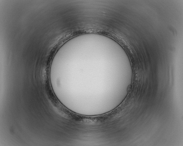 X0000113850690200909241005