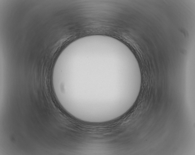 X0000113850693200909241005