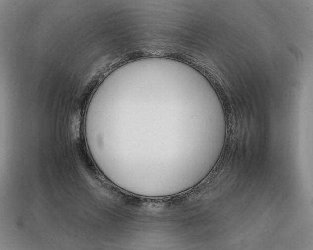 X0000113850694200909241005