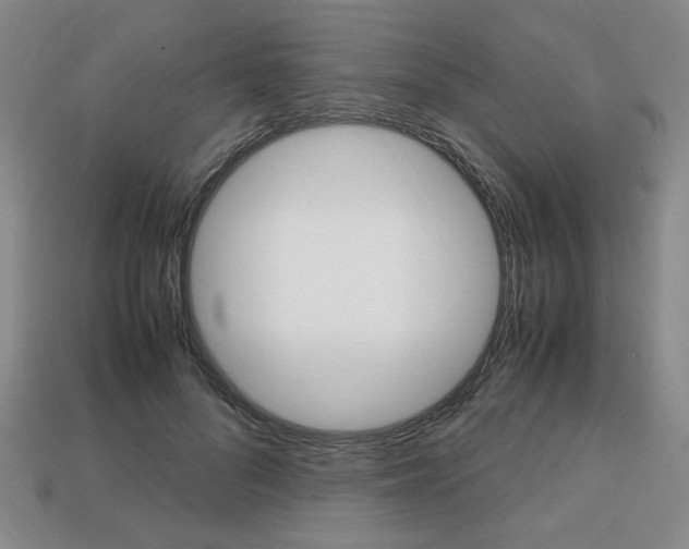 X0000113850696200909241005