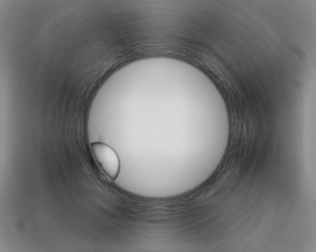 X0000113850700200909241005