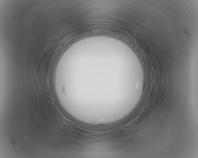 X0000113850701200909241005