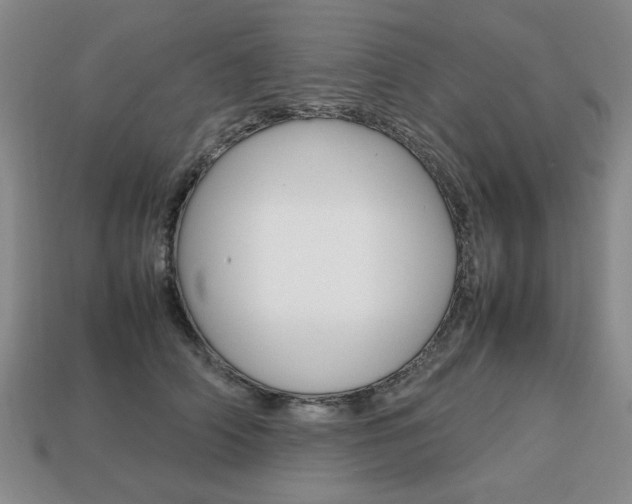 X0000113850706200909241005