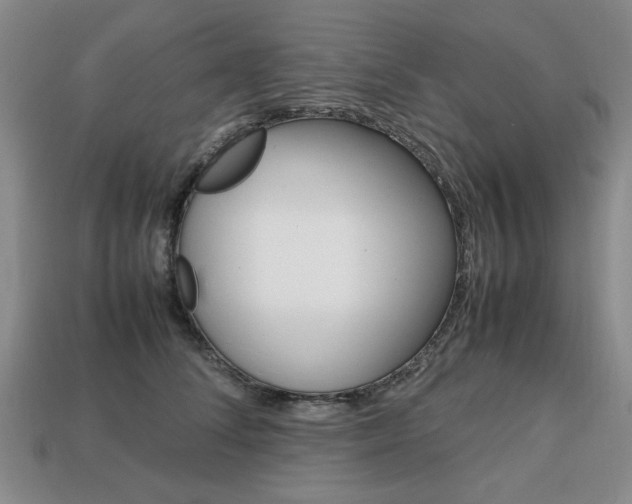 X0000113850708200909241005