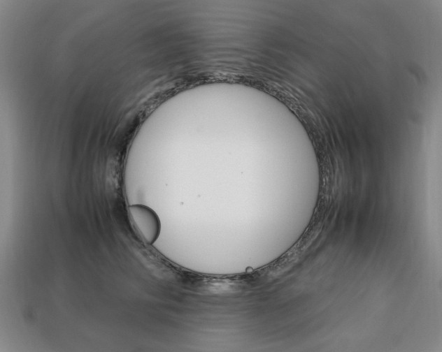 X0000113850710200909241005
