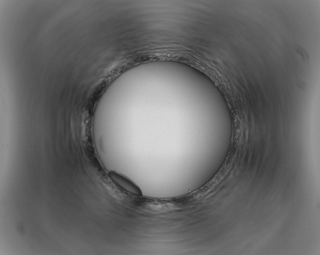 X0000113850712200909241005