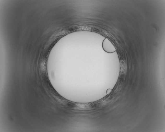 X0000113850713200909241005