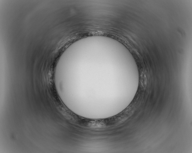 X0000113850714200909241005