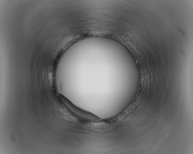 X0000113850716200909241005