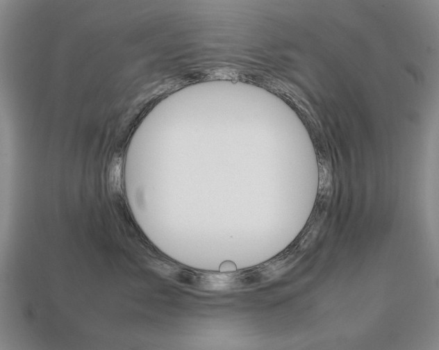 X0000113850717200909241005
