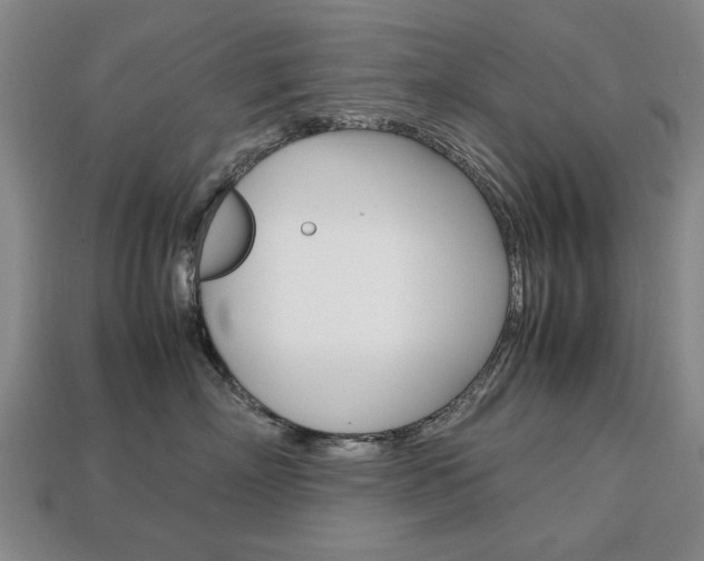 X0000113850718200909241005
