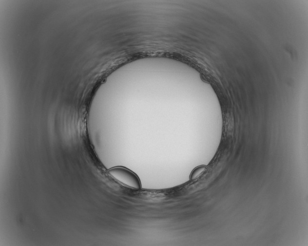 X0000113850719200909241005
