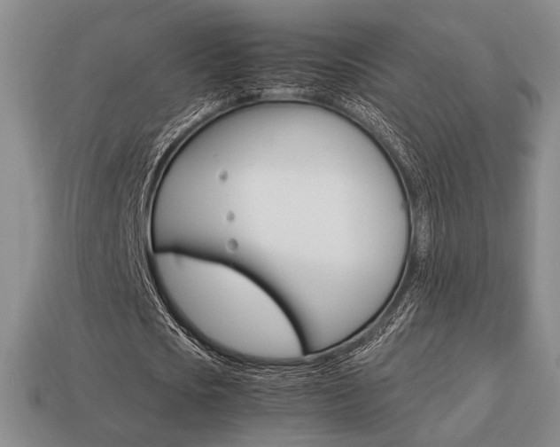 X0000113850721200909241004
