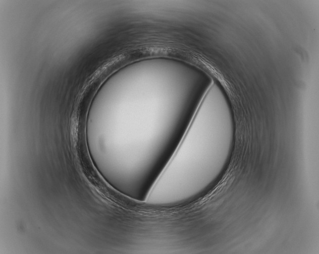 X0000113850722200909241004