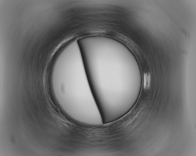 X0000113850723200909241004