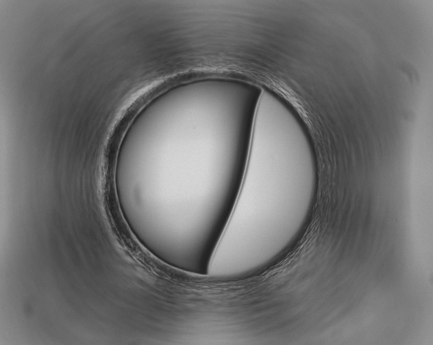 X0000113850724200909241004