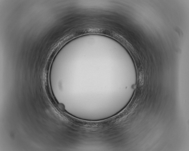 X0000113850725200909241004