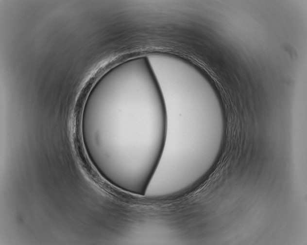 X0000113850726200909241004