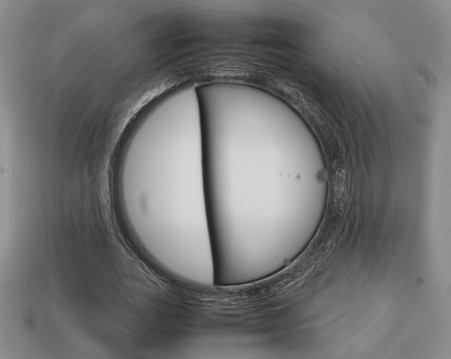 X0000113850727200909241004