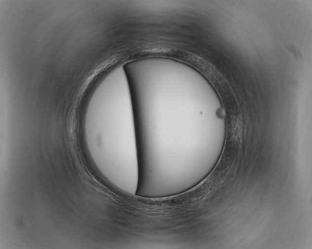 X0000113850731200909241004