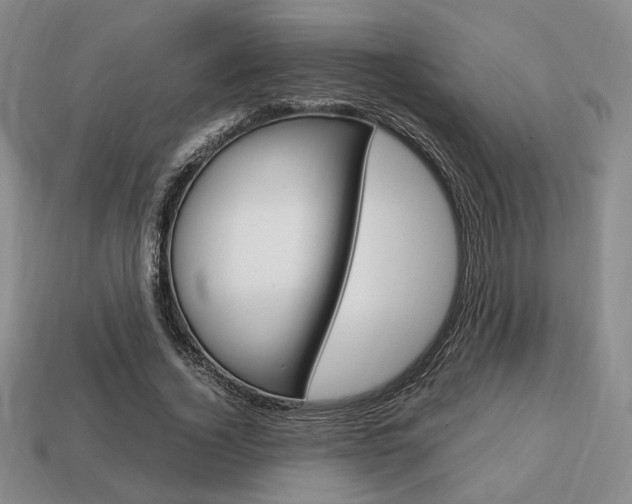 X0000113850732200909241004