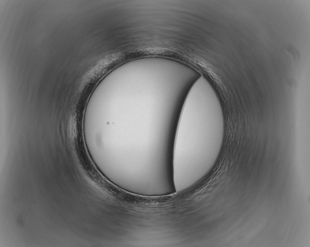 X0000113850734200909241004