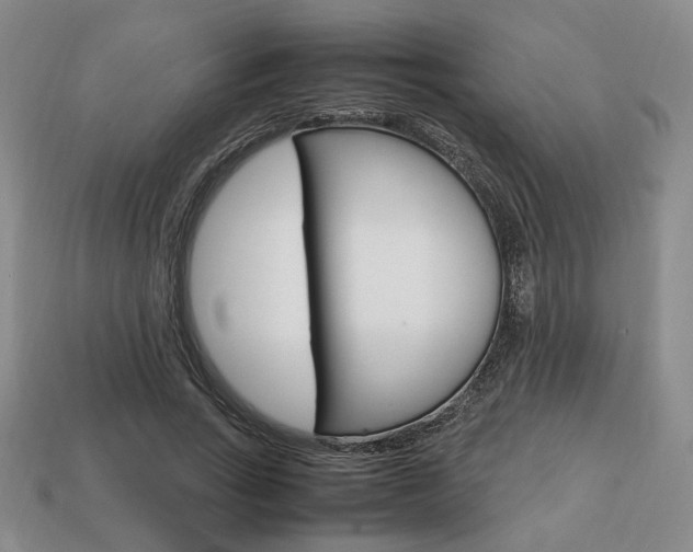 X0000113850735200909241004